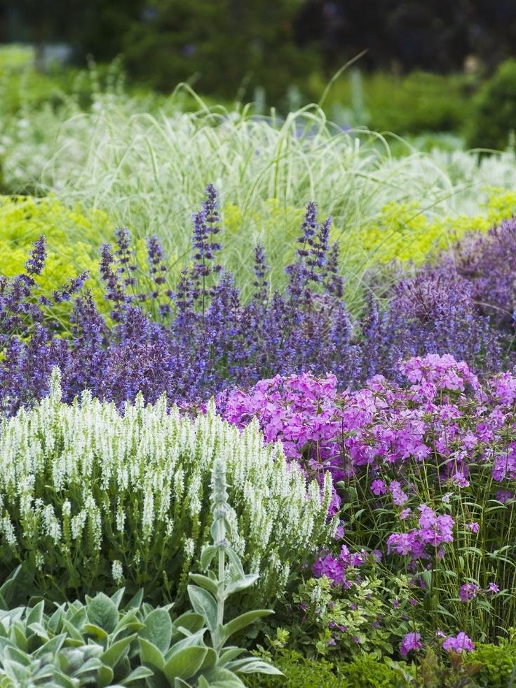 tuinborder